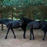 Bagatelka Miłosław