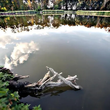 Отель типа 