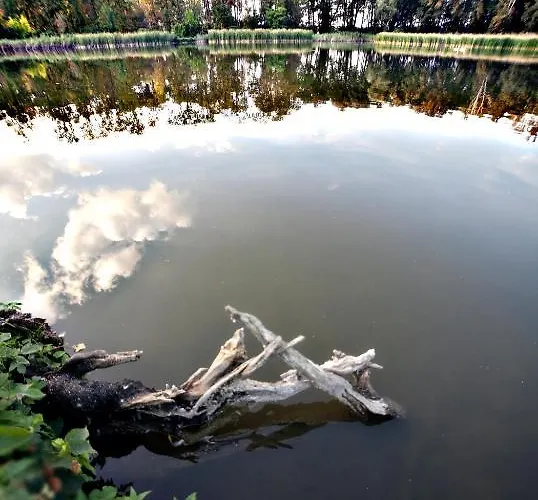 Oda ve Kahvaltı Bagatelka Miłosław