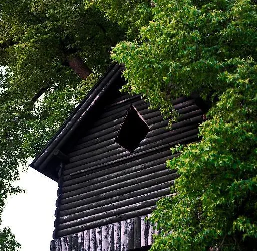 Oda ve Kahvaltı Bagatelka Miłosław