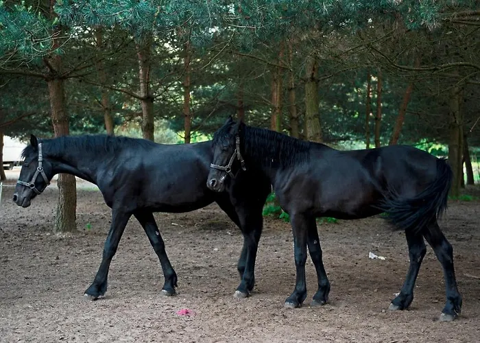 Bagatelka Miłosław